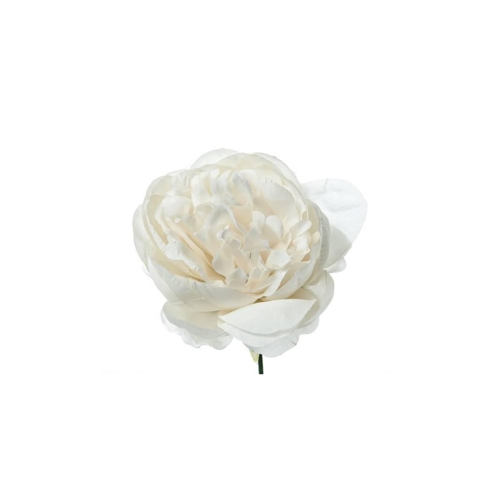 PICK PEONIA IVORY H19 D11